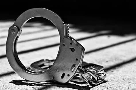 Three suspects arrested for alleged stock theft