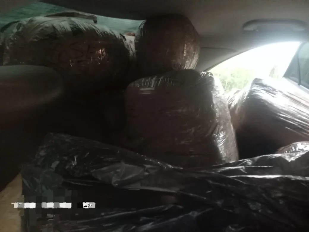 Police Bust Man With R800,000 Worth of Dagga in Car