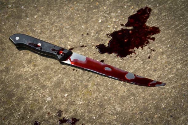 Man stabs woman after heated argument